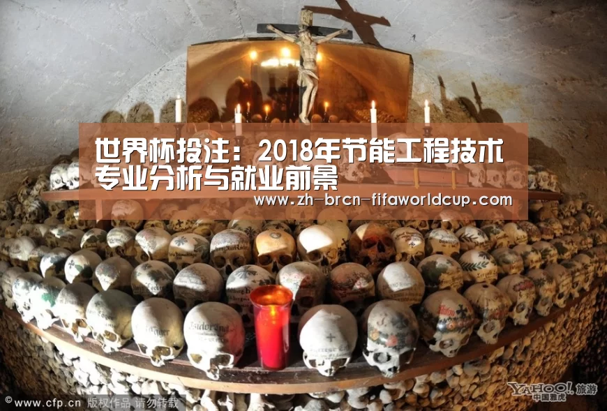世界杯投注:2018年节能工程技术专业分析与就业前景(图2) 世界杯投注