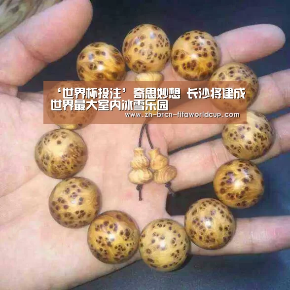 ‘世界杯投注’奇思妙想 长沙将建成世界最大室内冰雪乐园(图4) 世界杯投注