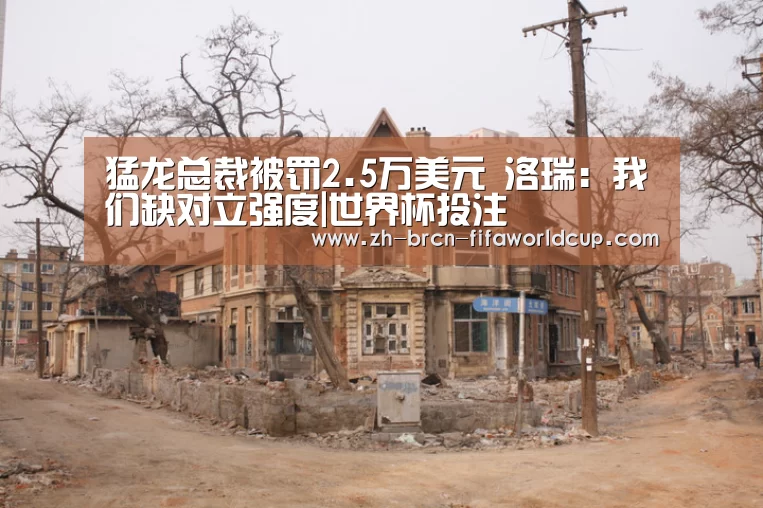猛龙总裁被罚2.5万美元 洛瑞:我们缺对立强度|世界杯投注(图3) 世界杯投注