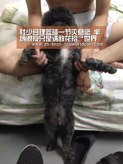 杜少合理篮球一节灭悬念 半场浪投只是诱敌花招‘世界杯投注’(图2) 世界杯投注