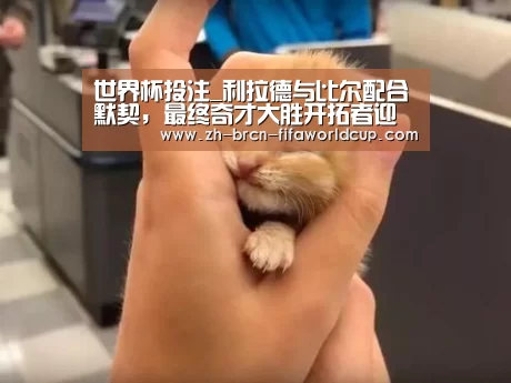 世界杯投注_利拉德与比尔配合默契,最终奇才大胜开拓者迎首胜(图3) 世界杯投注
