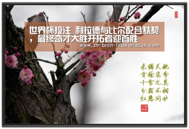 世界杯投注_利拉德与比尔配合默契,最终奇才大胜开拓者迎首胜(图4) 世界杯投注