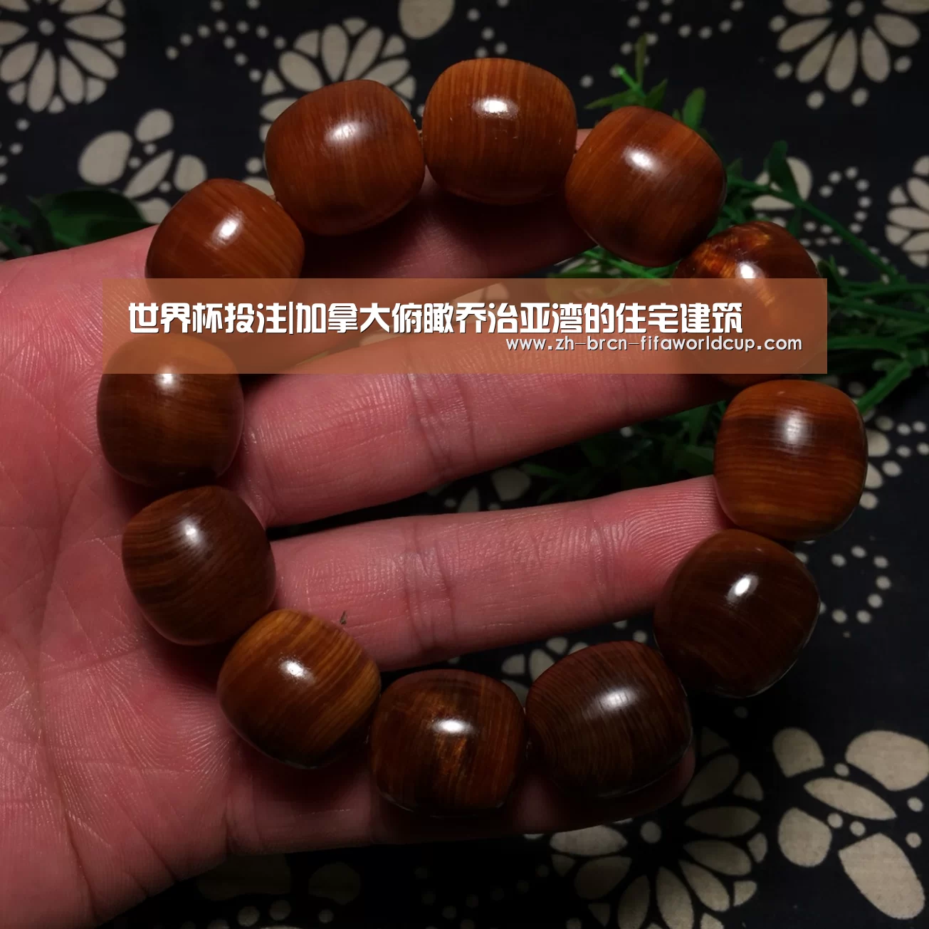 世界杯投注|加拿大俯瞰乔治亚湾的住宅建筑(图1) 世界杯投注
