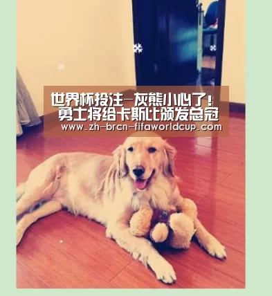 世界杯投注-灰熊小心了! 勇士将给卡斯比颁发总冠军戒指(图1) 世界杯投注