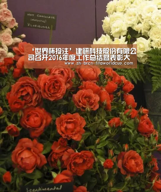 ‘世界杯投注’建研科技股份有限公司召开2016年度工作总结暨表彰大会(图3) 世界杯投注