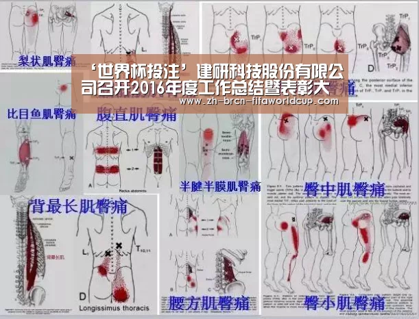 ‘世界杯投注’建研科技股份有限公司召开2016年度工作总结暨表彰大会(图2) 世界杯投注