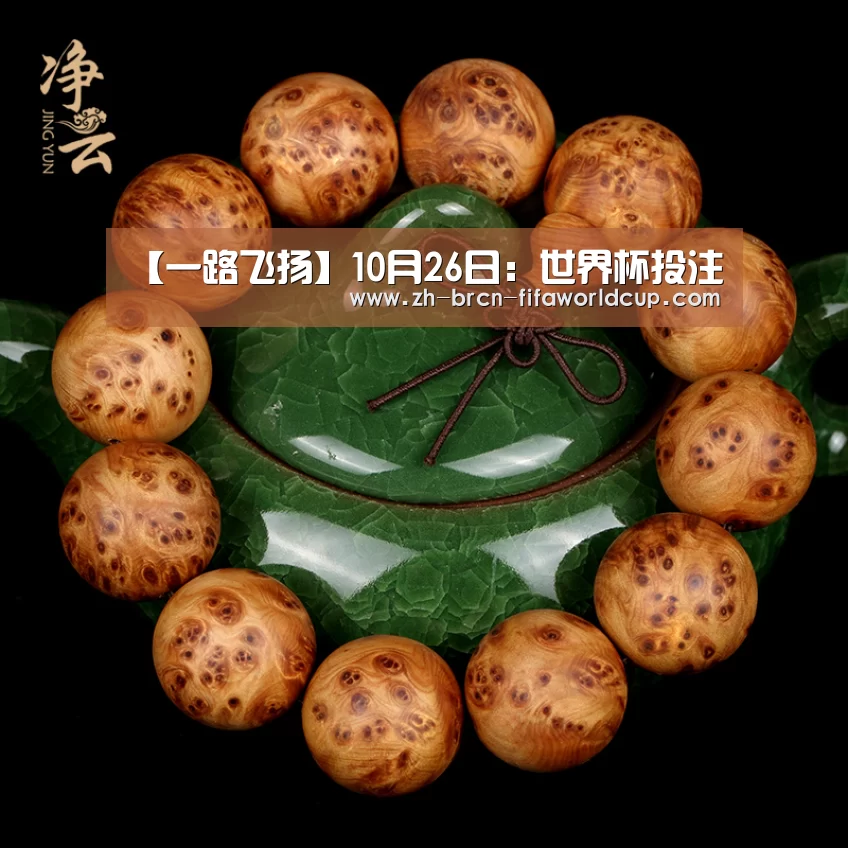 【一路飞扬】10月26日:世界杯投注(图2) 世界杯投注