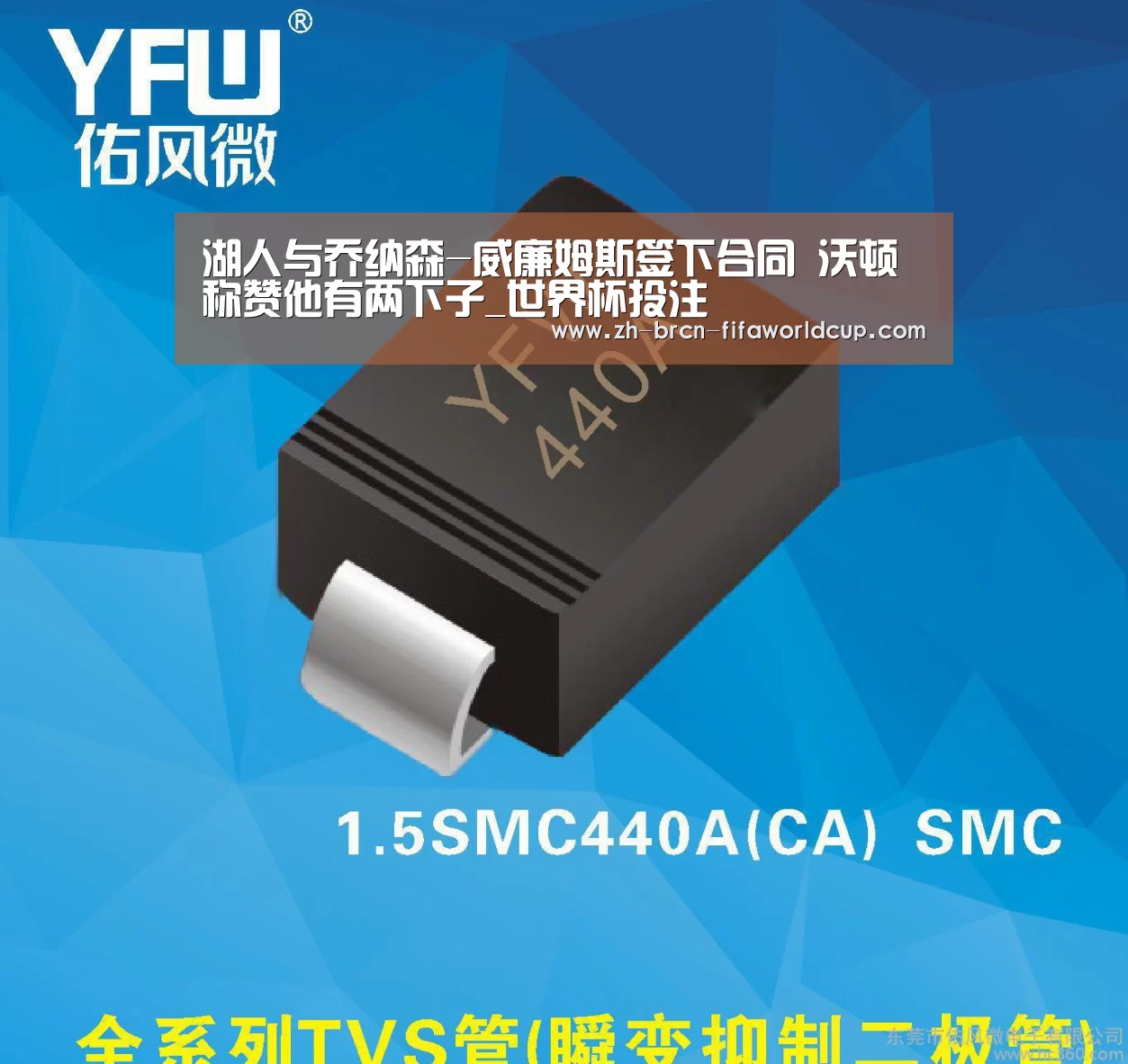 湖人与乔纳森-威廉姆斯签下合同 沃顿称赞他有两下子_世界杯投注(图4) 世界杯投注