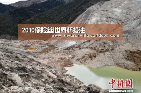 2010保险丝|世界杯投注(图1) 世界杯投注
