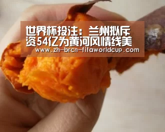 世界杯投注:兰州拟斥资54亿为黄河风情线美容 颜值将大增(图2) 世界杯投注