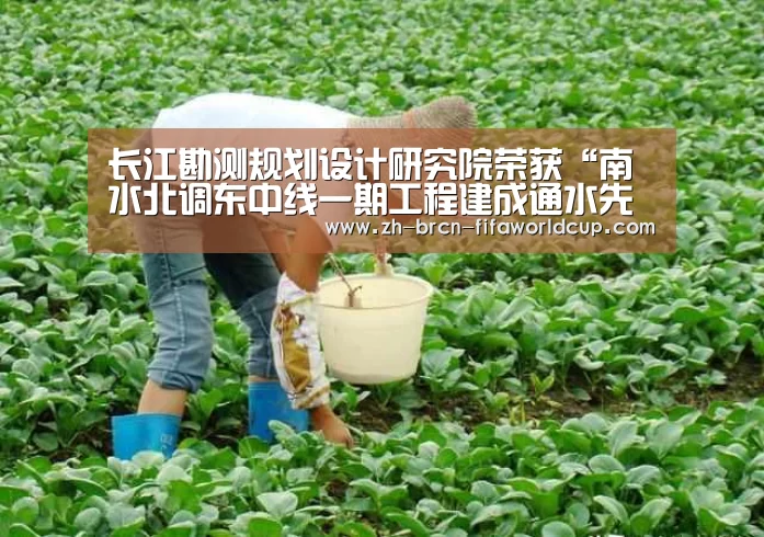 长江勘测规划设计研究院荣获“南水北调东中线一期工程建成通水先进集体”称号|世界杯投注(图2) 世界杯投注
