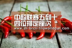 中超联赛五到十四位排定座次“世界杯投注”(图3) 世界杯投注