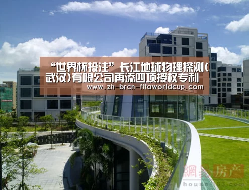 “世界杯投注”长江地球物理探测(武汉)有限公司再添四项授权专利(图1) 世界杯投注