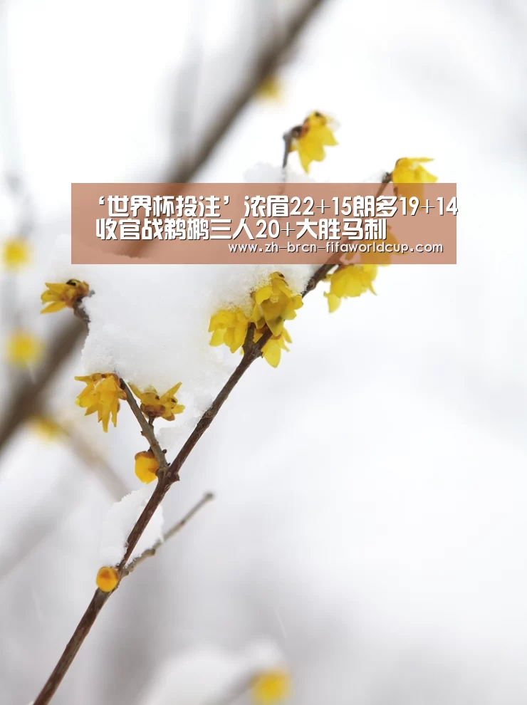 ‘世界杯投注’浓眉22+15朗多19+14 收官战鹈鹕三人20+大胜马刺(图3) 世界杯投注